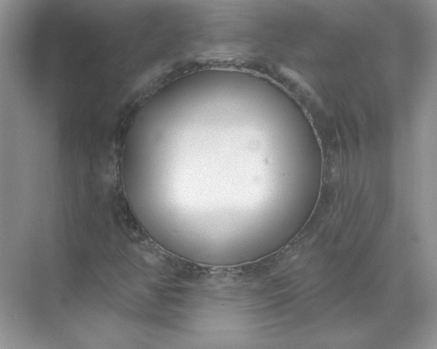 X0000071961350200607212242