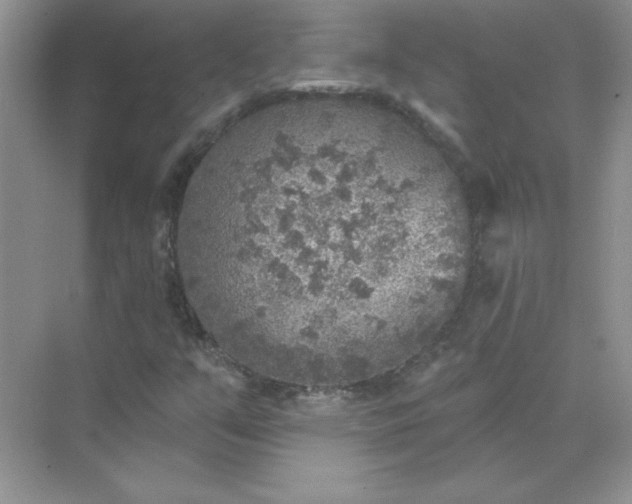 X0000071961351200607212242