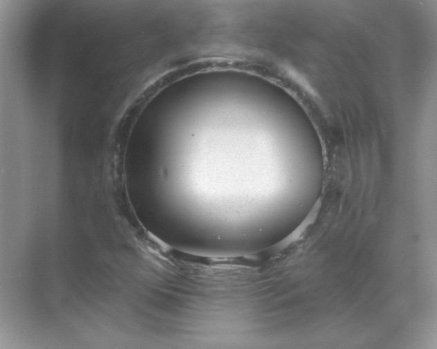 X0000071961352200607212242