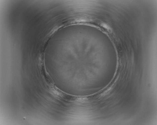 X0000071961353200607212241