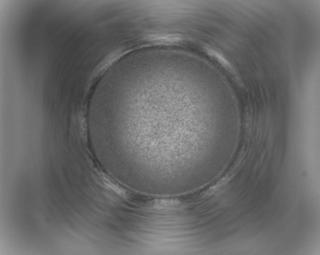 X0000071961354200607212241