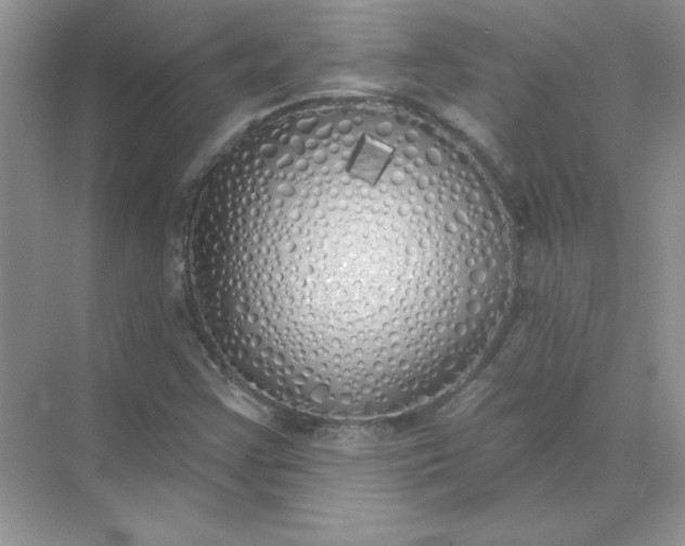 X0000071961355200607212241