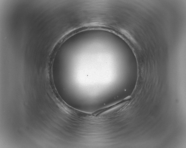 X0000071961356200607212241