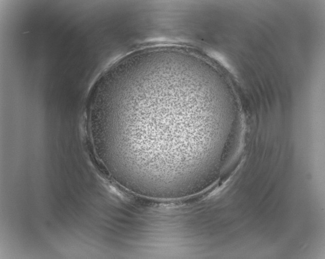 X0000071961357200607212241