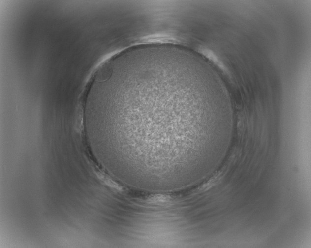 X0000071961358200607212241