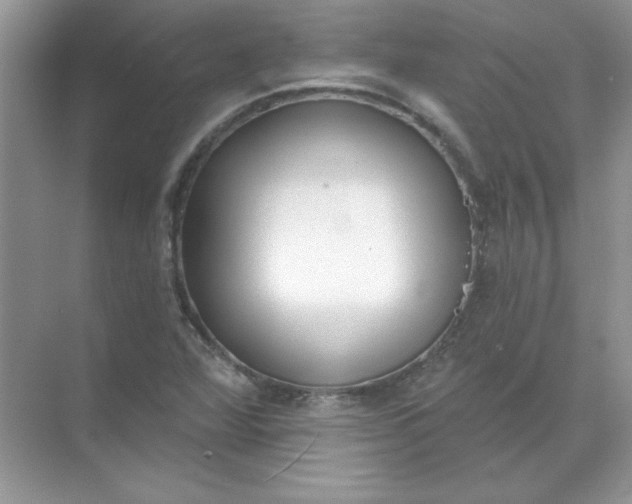 X0000071961360200607212241