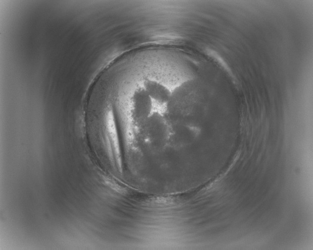 X0000071961362200607212241