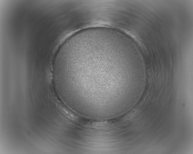 X0000071961363200607212241