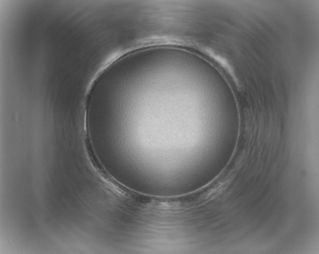 X0000071961365200607212241