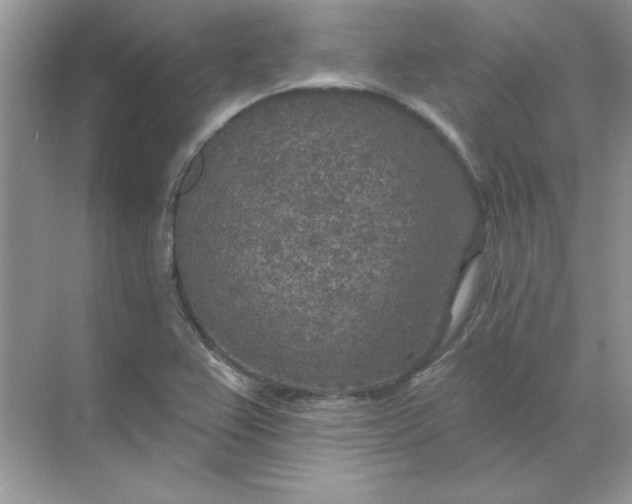 X0000071961367200607212241