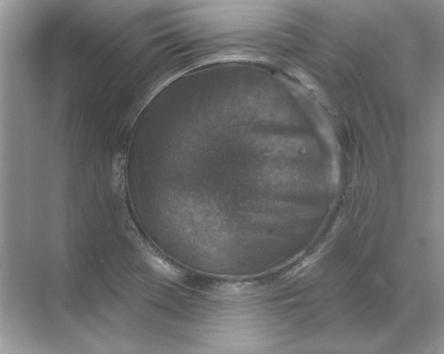 X0000071961369200607212241