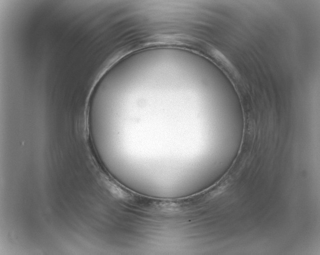 X0000071961370200607212241