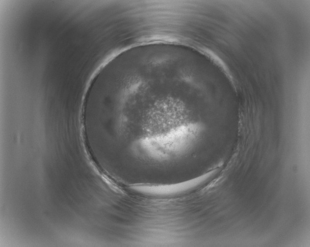 X0000071961373200607212241