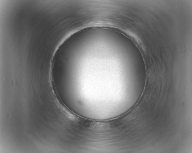 X0000071961374200607212241