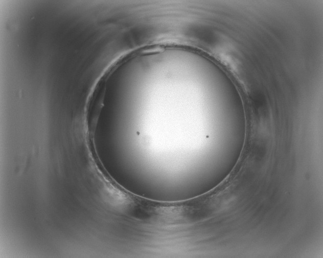 X0000071961376200607212241