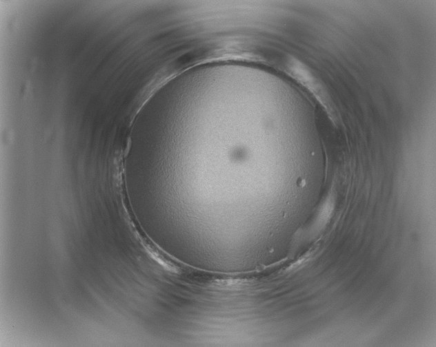 X0000071961377200607212241