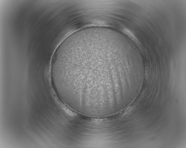 X0000071961378200607212241