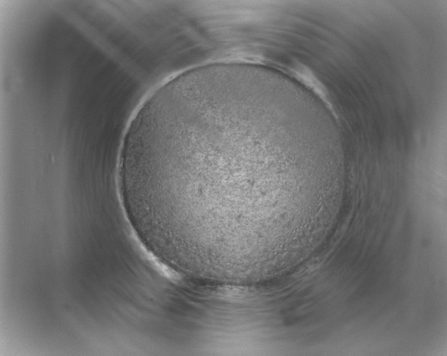 X0000071961379200607212241