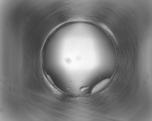 X0000071961380200607212241