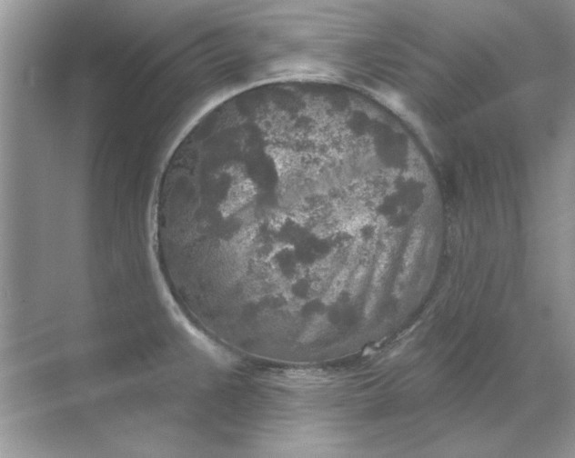 X0000071961383200607212241