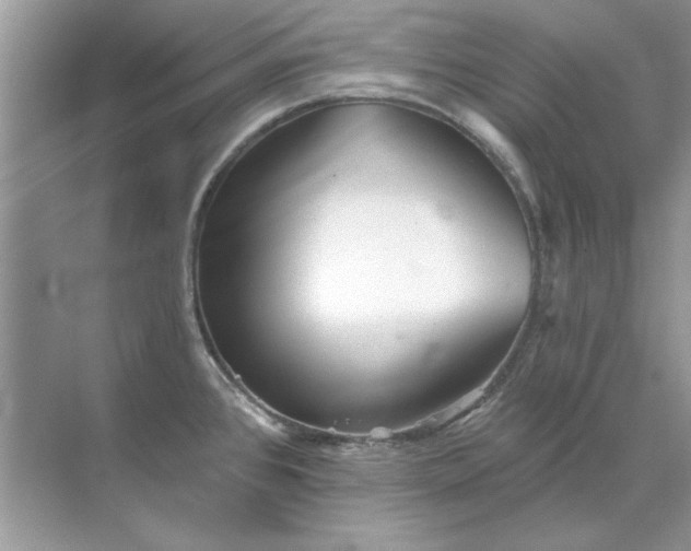 X0000071961384200607212241