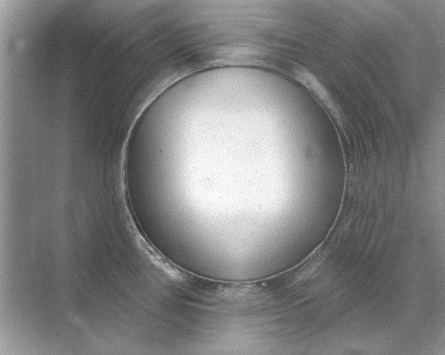 X0000071961386200607212241