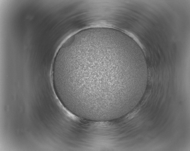 X0000071961387200607212241