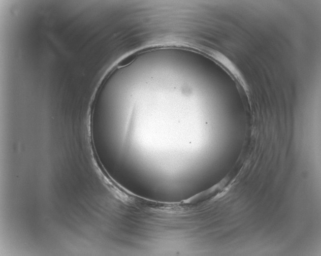 X0000071961388200607212241