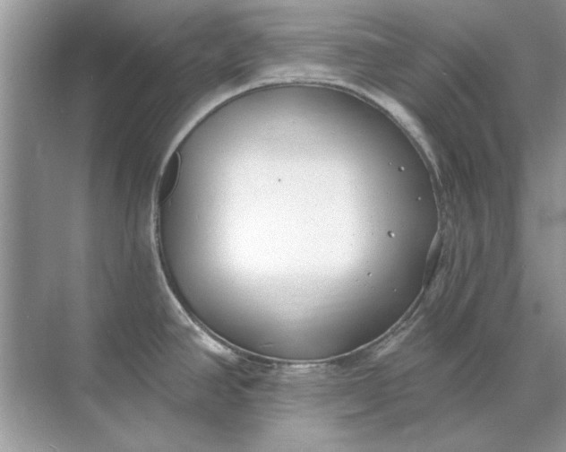 X0000071961390200607212241