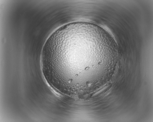 X0000071961391200607212241