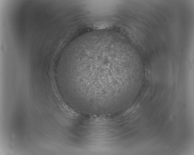 X0000071961393200607212240