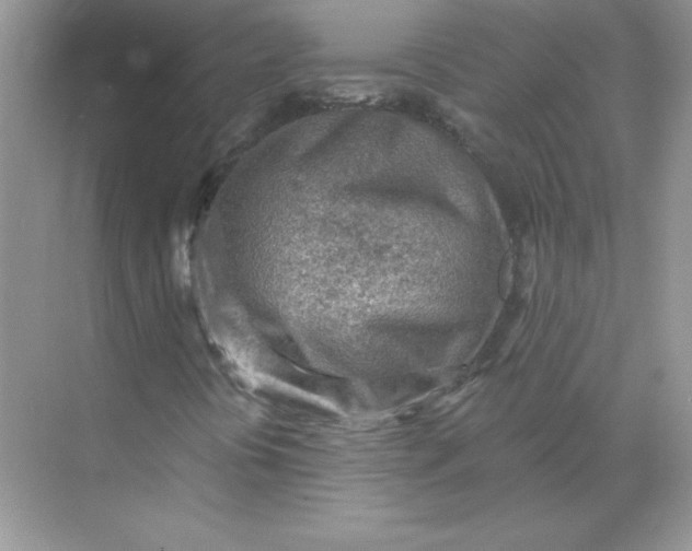 X0000071961394200607212240