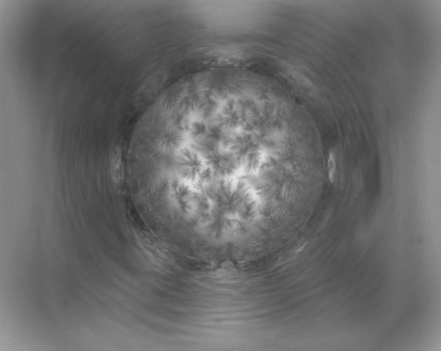 X0000071961395200607212240