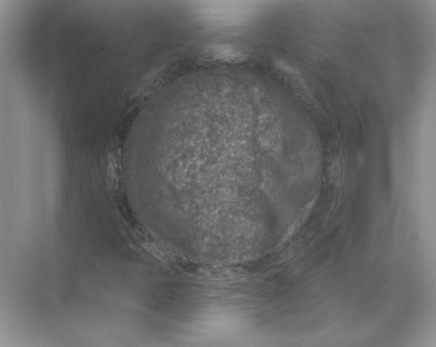 X0000071961397200607212240