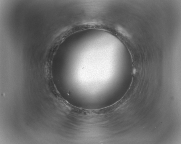 X0000071961398200607212240