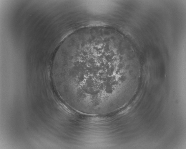 X0000071961401200607212240