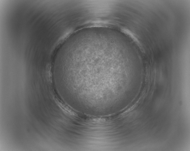 X0000071961403200607212240