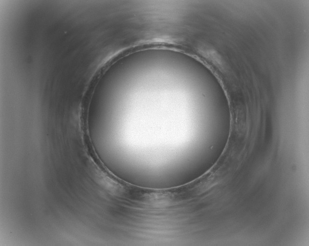 X0000071961404200607212240