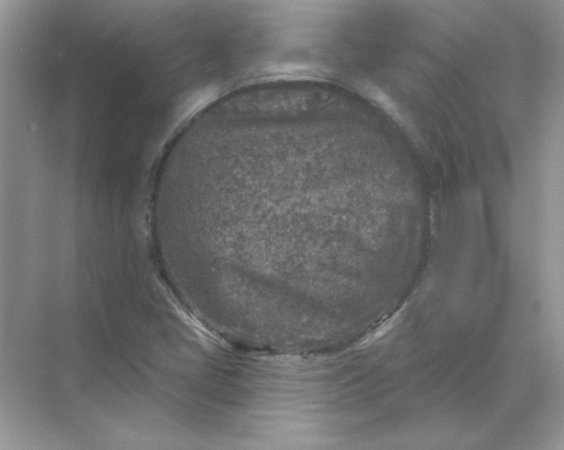 X0000071961405200607212240