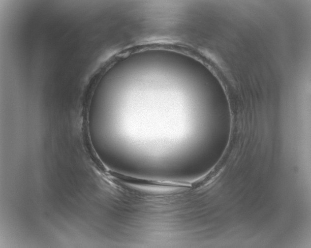 X0000071961406200607212240