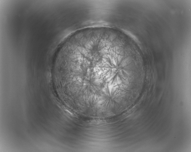 X0000071961407200607212240