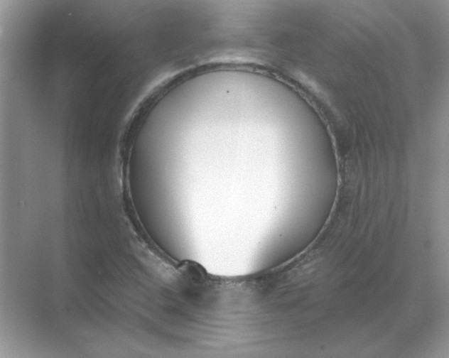 X0000071961408200607212240