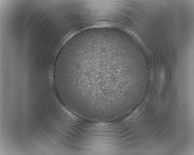 X0000071961409200607212240