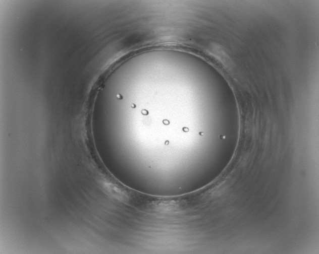 X0000071961410200607212240