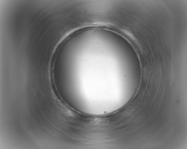 X0000071961412200607212240