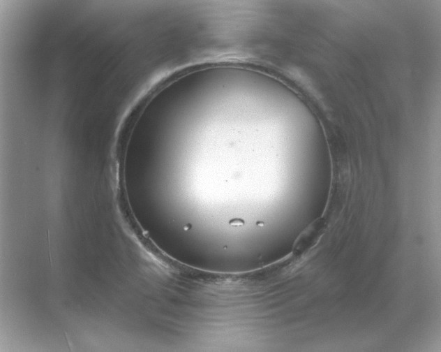 X0000071961414200607212240