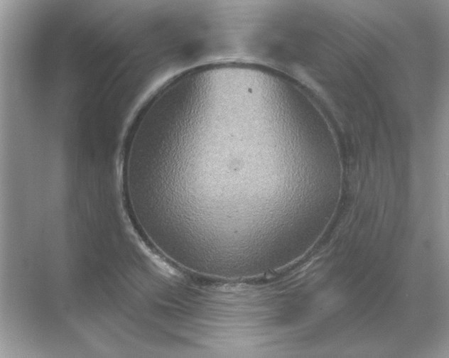 X0000071961416200607212240