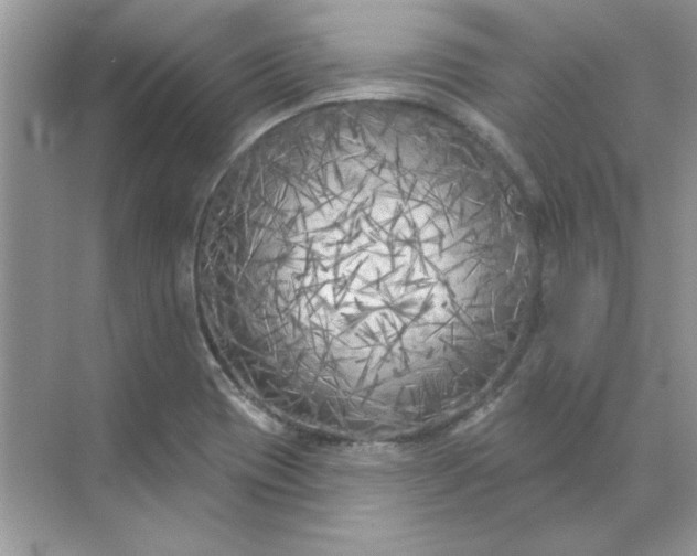 X0000071961417200607212240