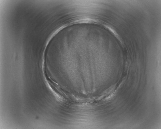 X0000071961418200607212240