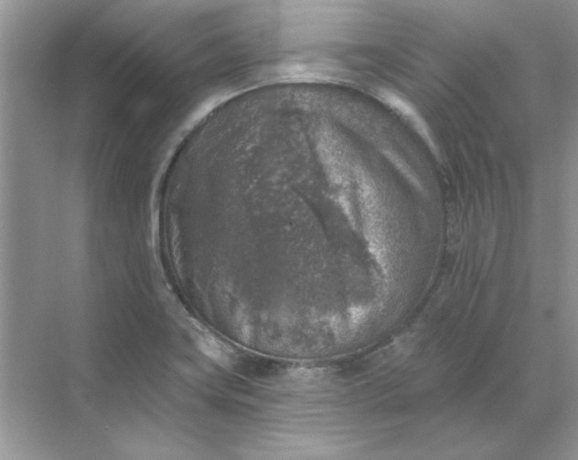 X0000071961419200607212240